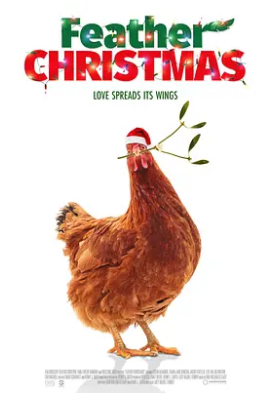 宠物鸡与圣诞节封面图