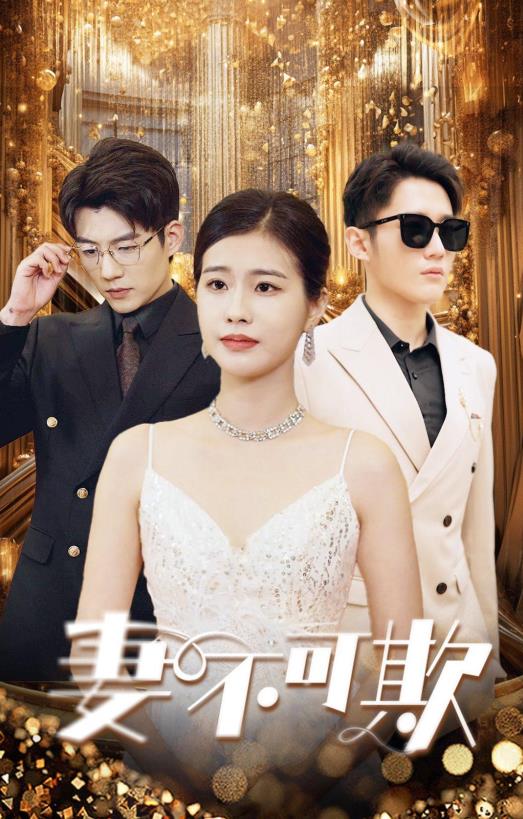 妻不可欺2024封面图