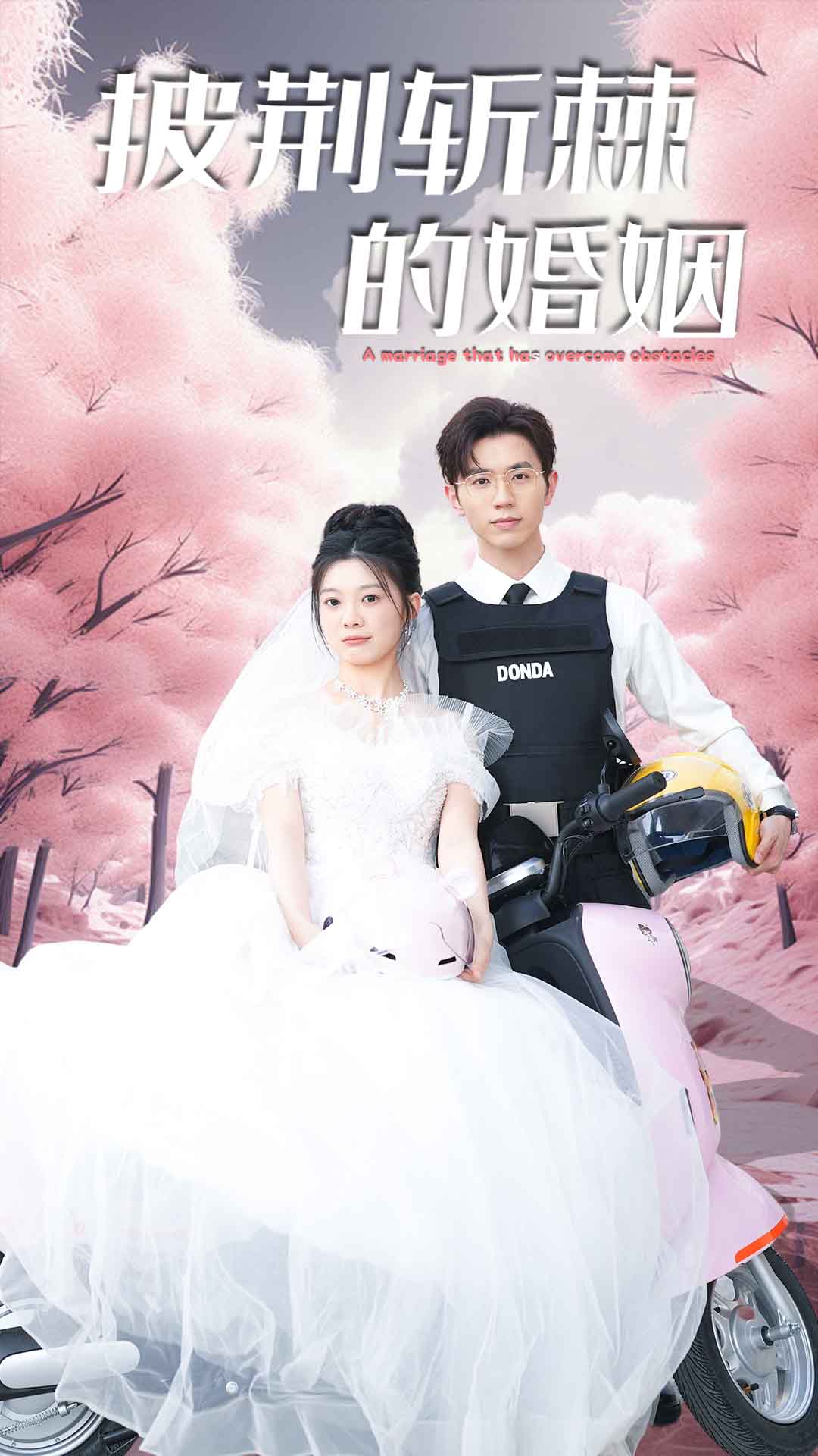 新版：披荆斩棘的婚姻封面图