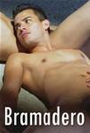 性爱禁区封面图