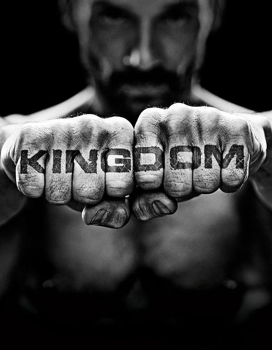 搏击王国第二季封面图