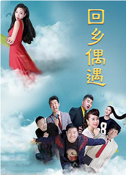 回乡偶遇封面图