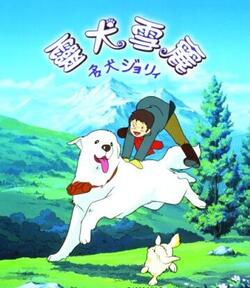 灵犬雪丽封面图