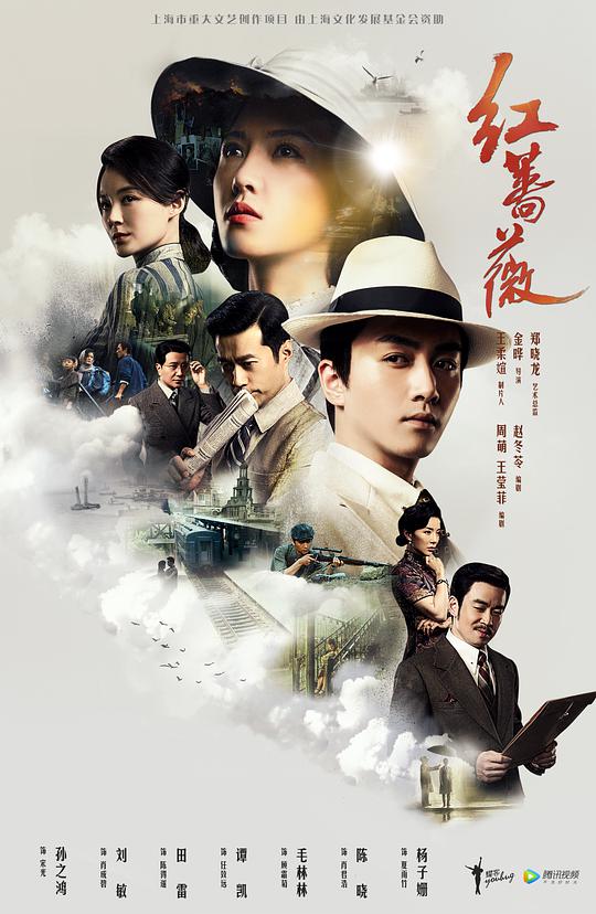 红蔷薇网络版封面图