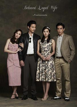 爱妻国语版封面图