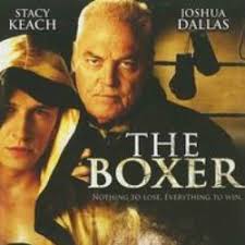 拳不离手封面图