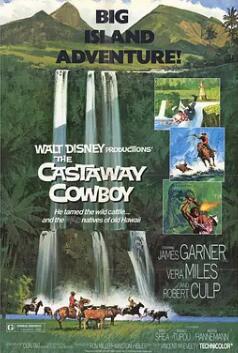 落魄牛仔封面图