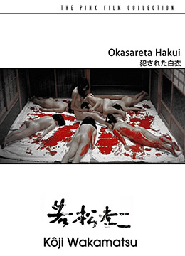 被侵犯的白衣封面图