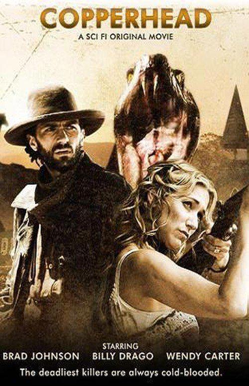 蛇机四伏封面图