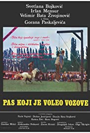 爱上火车的狗封面图