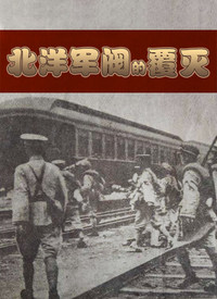 北洋军阀的覆灭封面图