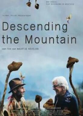 从山上下来封面图