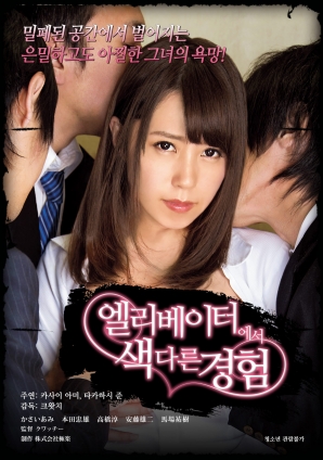 电梯另类性体验封面图