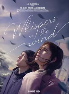 风中的低语封面图