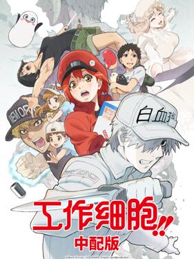 工作细胞第二季国语版封面图