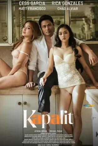 私逆替身封面图