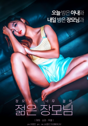 年轻的岳母韩版封面图