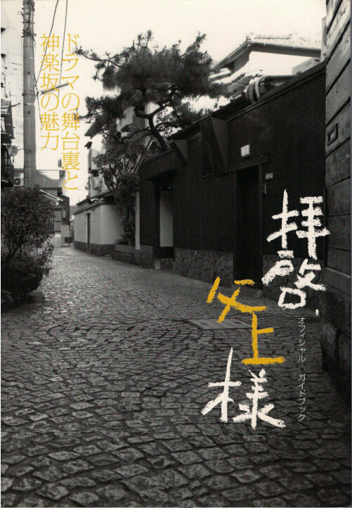 敬启，父亲大人封面图