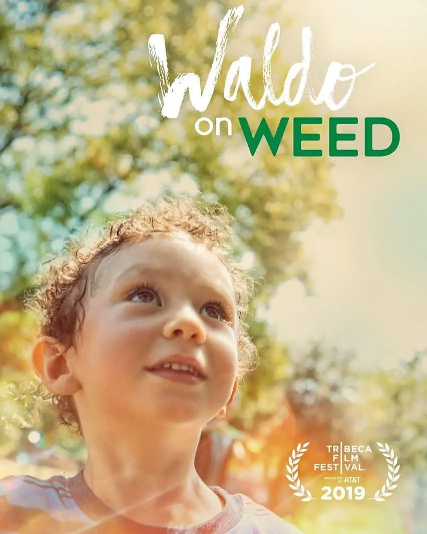 沃尔多吸大麻封面图