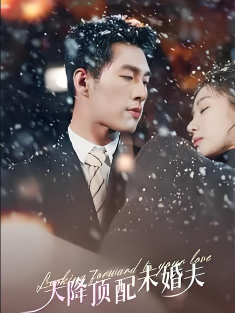 天降顶配未婚夫 (挖机救场天降顶配未婚夫)封面图