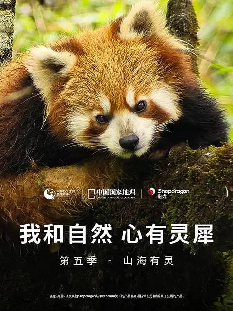 我和自然 心有灵犀 第五季封面图