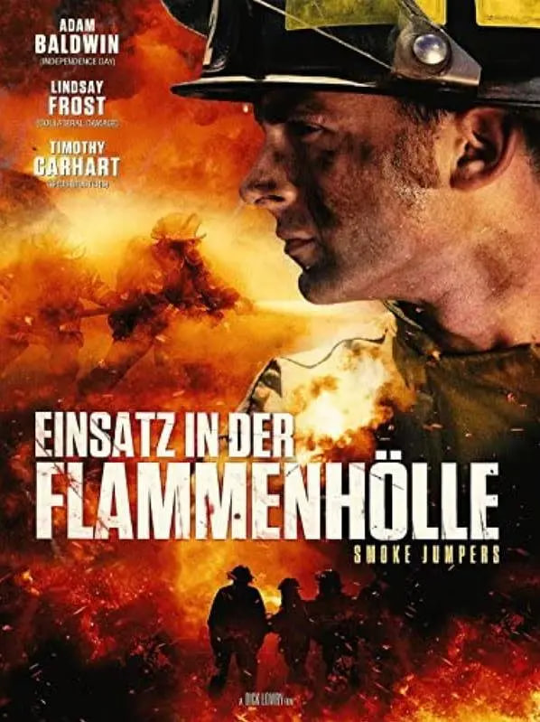 浴火雄心封面图