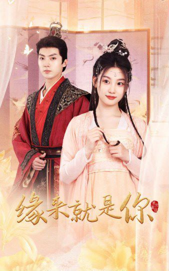 新版：缘来就是你封面图