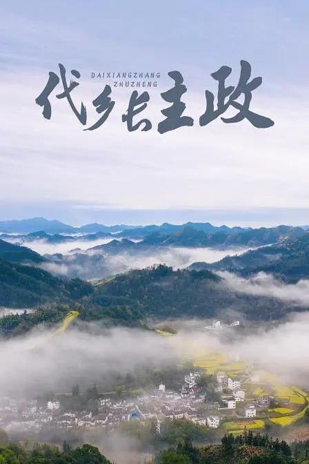 代乡长主政 2011封面图