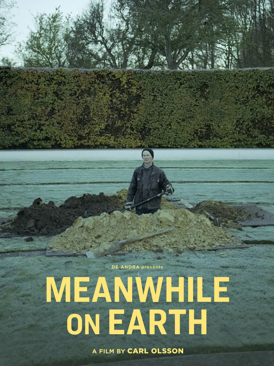 同在地球上封面图