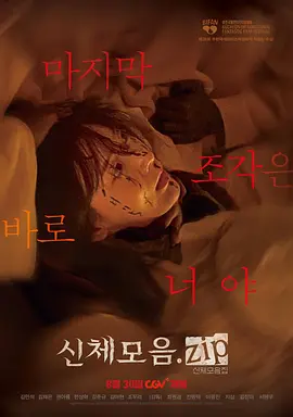 身体集合.zip[电影解说]封面图