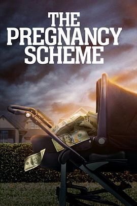The Pregnancy Scheme封面图