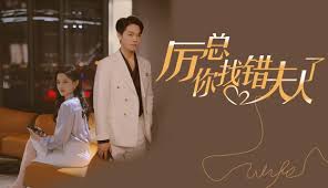 厉总你找错夫人了封面图