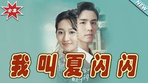 我叫夏闪闪封面图