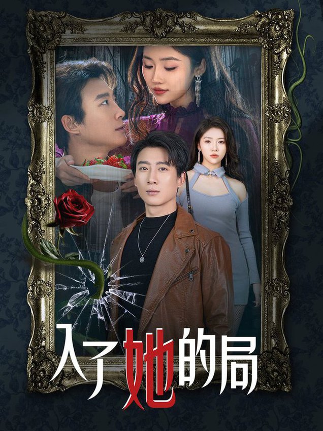 入了她的局封面图