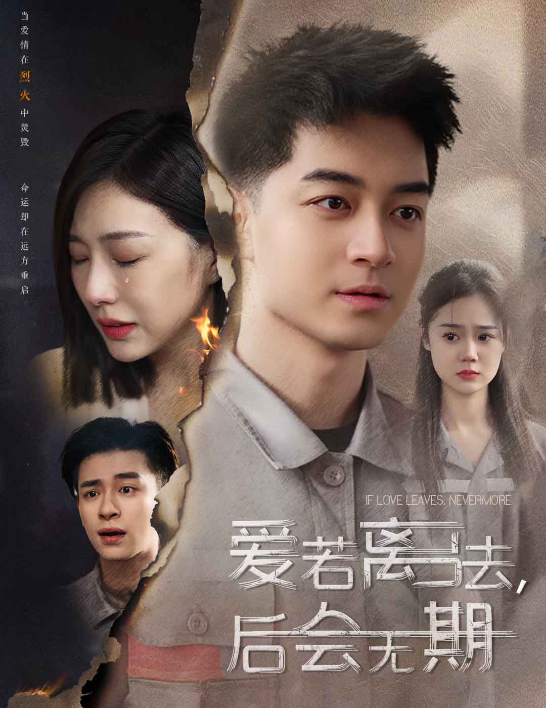 爱若离去封面图