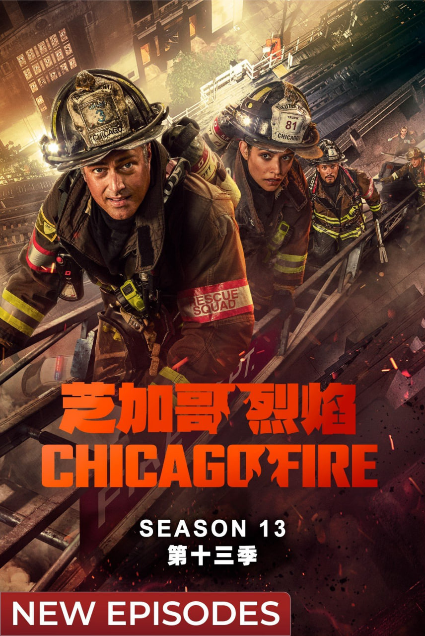 芝加哥急救 第十三季封面图