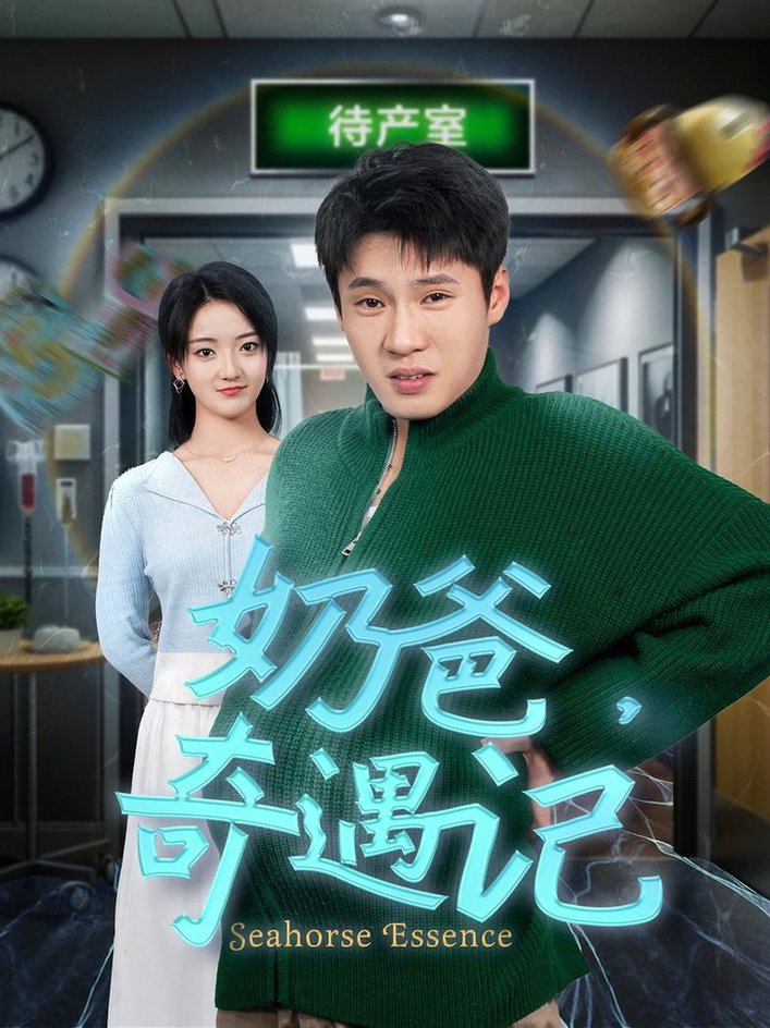 奶爸奇遇记封面图