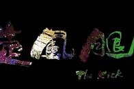 旋风腿2013封面图