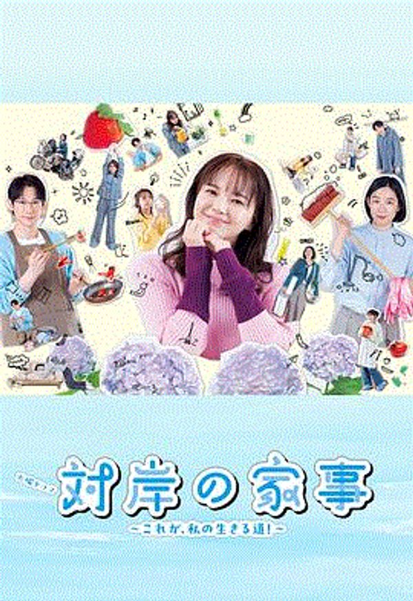 对岸的家务事封面图