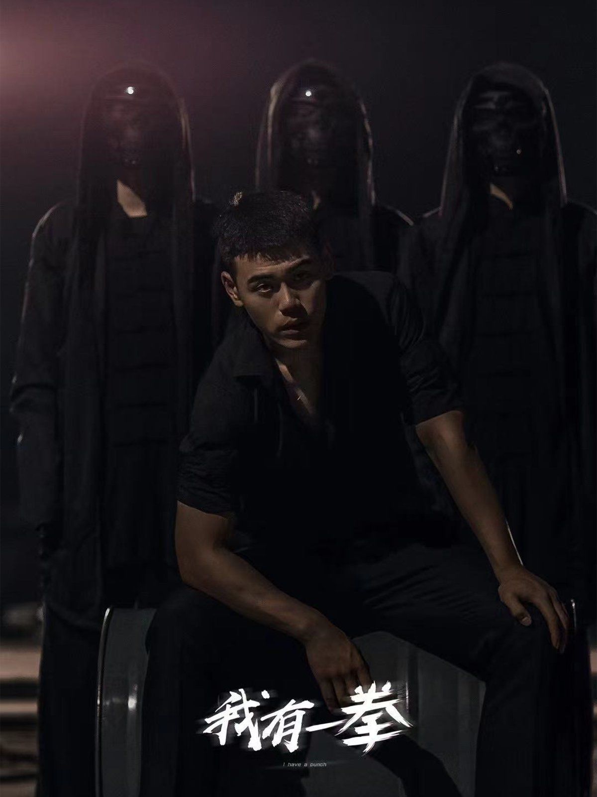 我有一拳封面图