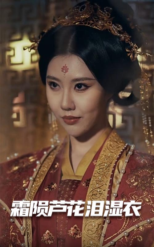 霜陨芦花泪湿衣封面图