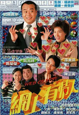 网上有情人封面图