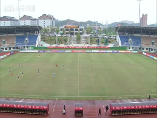 中甲联赛 定南赣联VS广东广州豹 20250405封面图