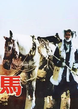 马 1956封面图