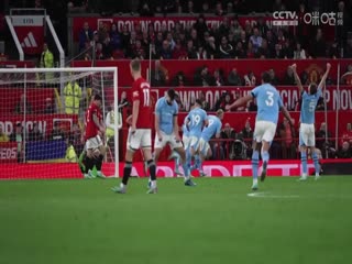 英超联赛 莱斯特城VS纽卡斯尔联 20250408封面图