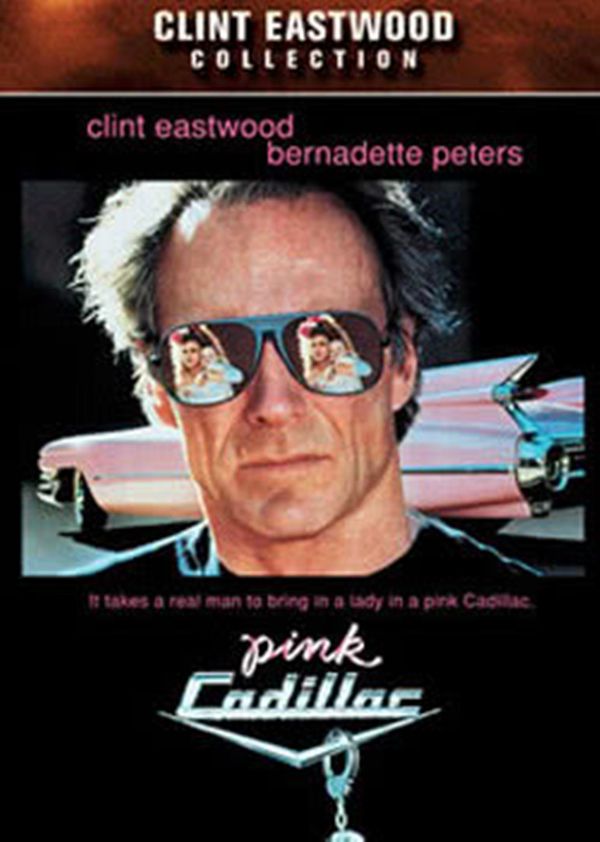 追杀黑名单封面图