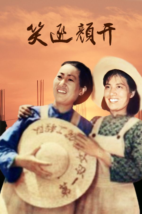 笑逐颜开封面图