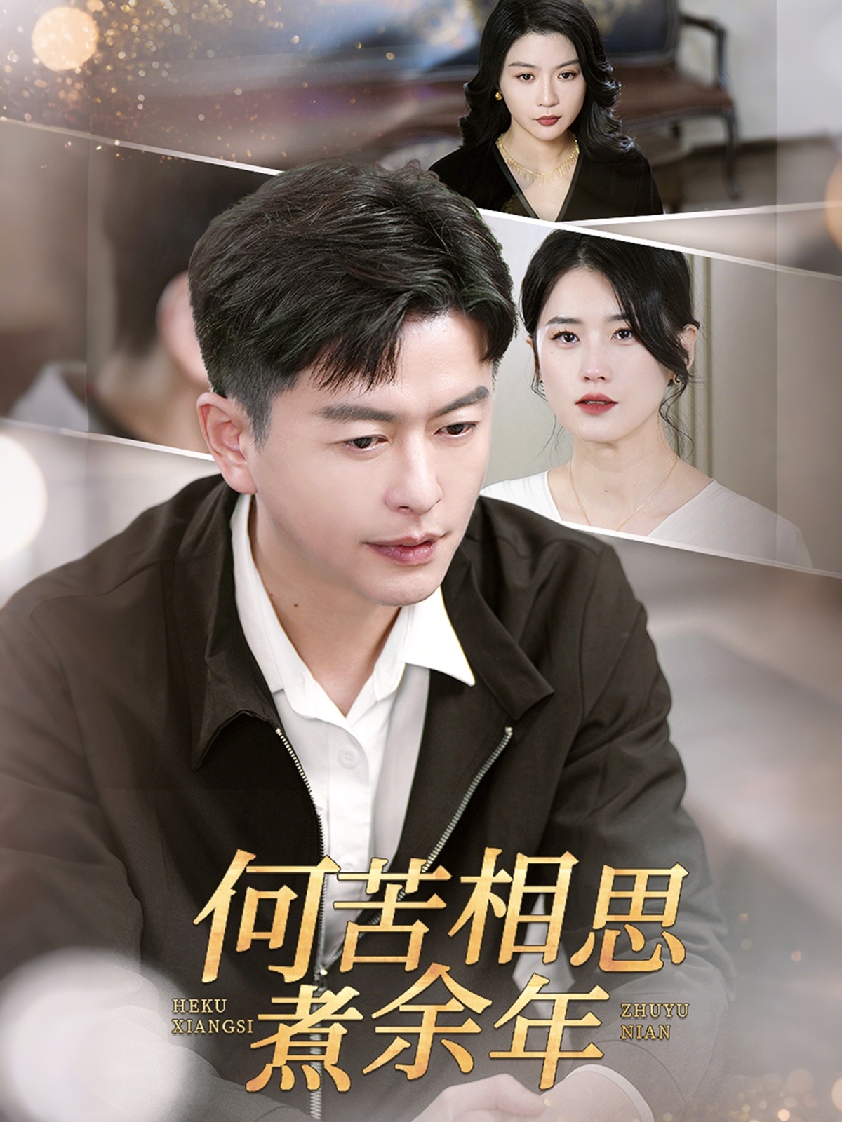 何苦相思煮余年封面图