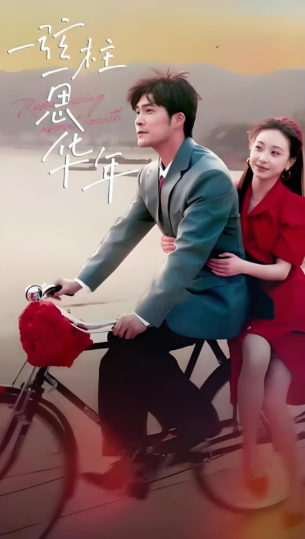 一弦一柱思华年封面图