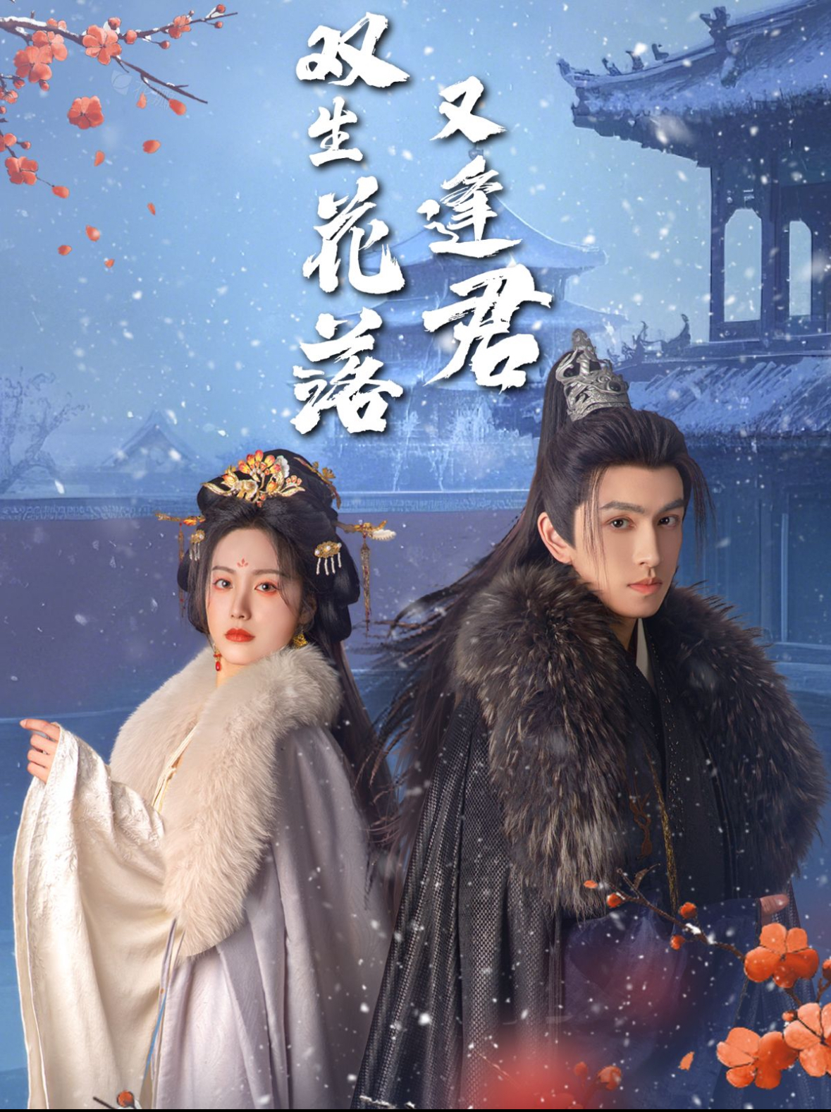 双生花落又逢君封面图